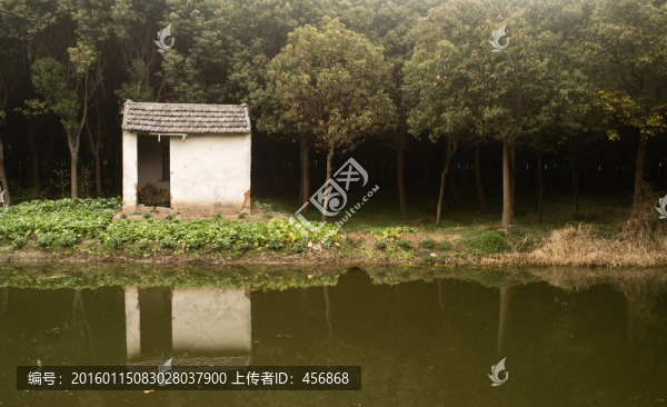 森林小屋