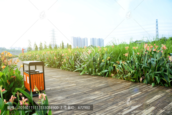 城市公園