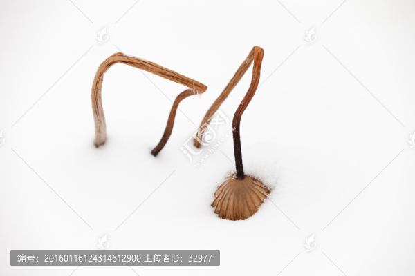 裝飾畫