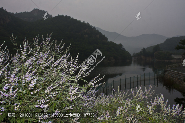 山村