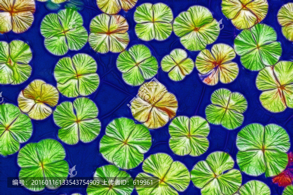 裝飾畫(huà),電腦畫(huà)