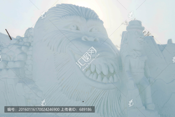 照片,113