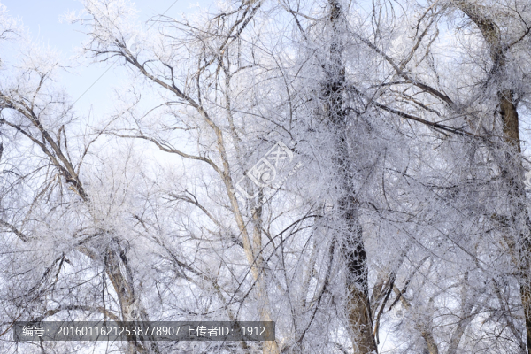 霧淞