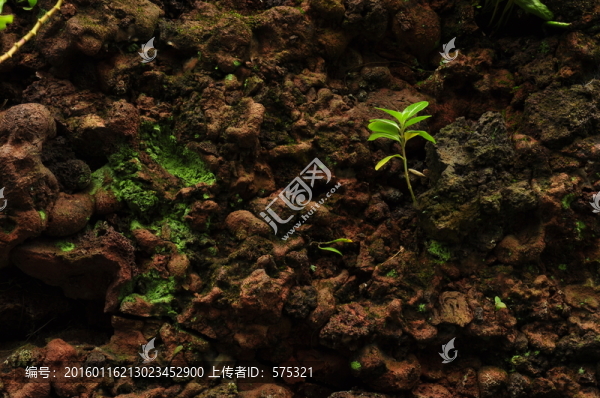 火山巖紋理