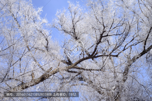霧淞