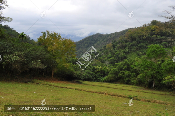 海南五指山森林
