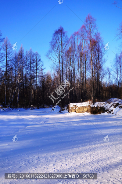 雪原山林