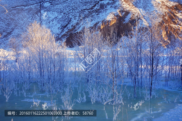 山林霧凇