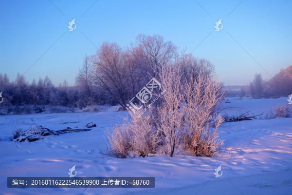 朝陽(yáng)照耀的雪原