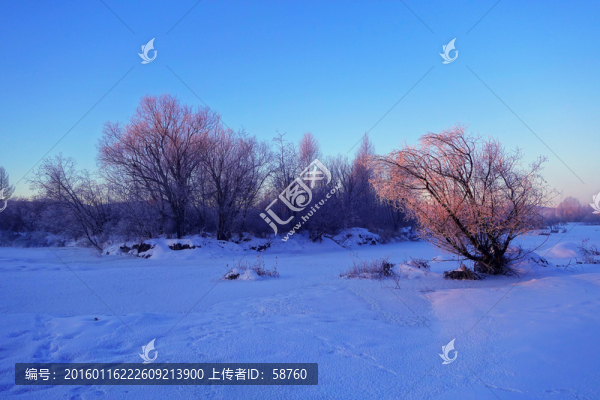 朝陽照耀雪原