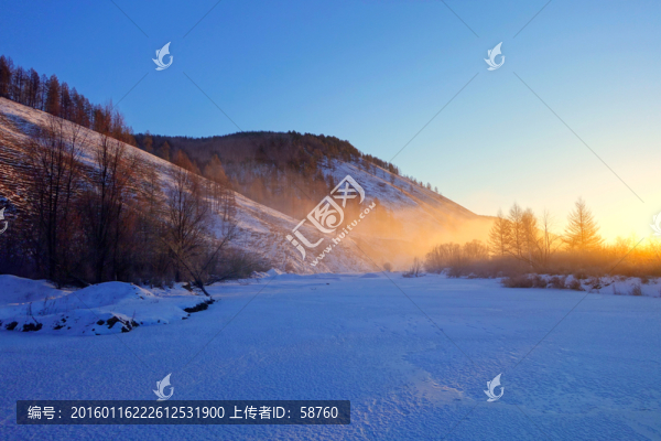 雪原樹林日出時的風(fēng)景