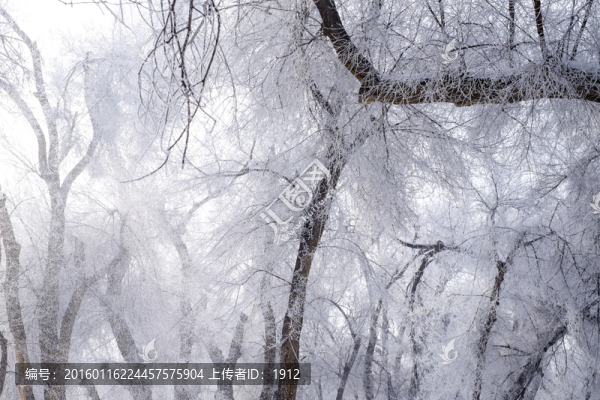 雪景