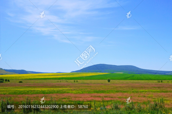 農(nóng)田風景