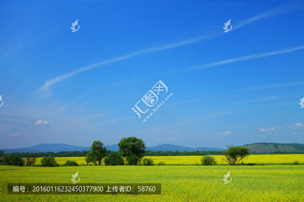 油菜花開(kāi)的農(nóng)田