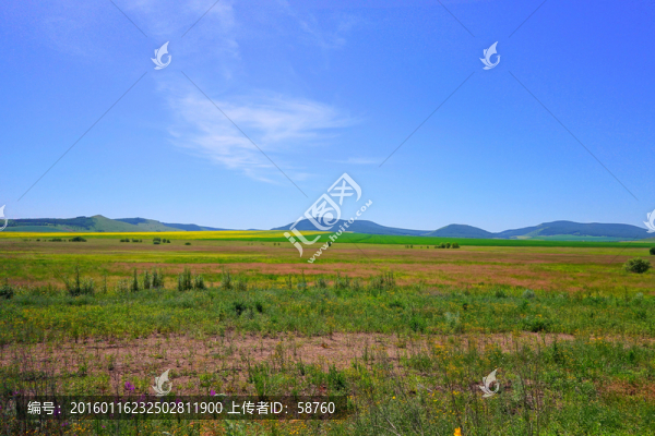 農(nóng)田風景