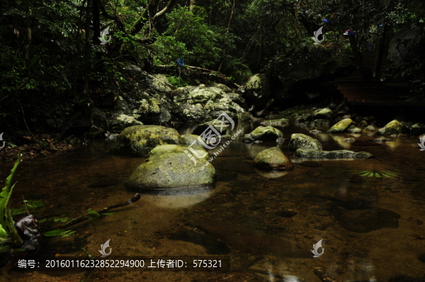 天然氧吧
