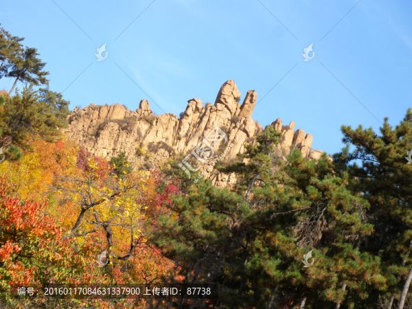山野