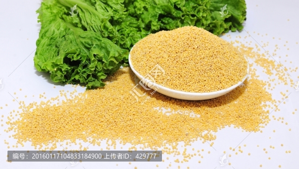 小米,谷物,谷子