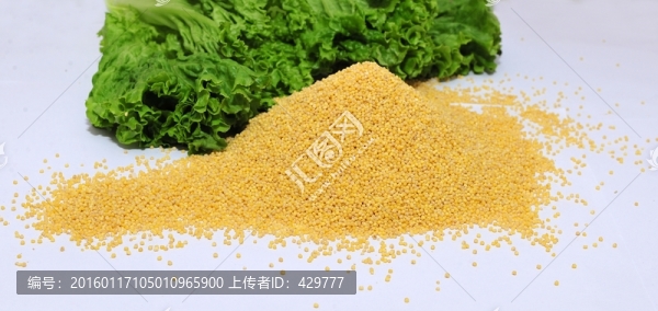 小米,,谷子