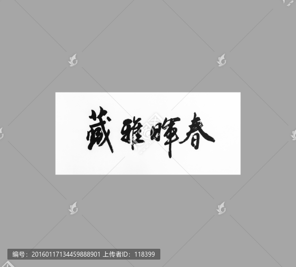 藏雅暉春