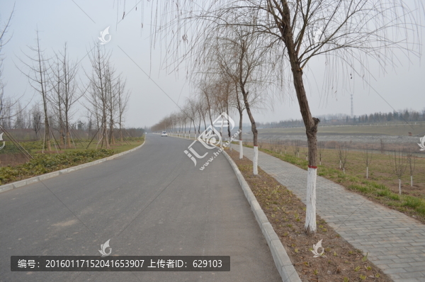 道路