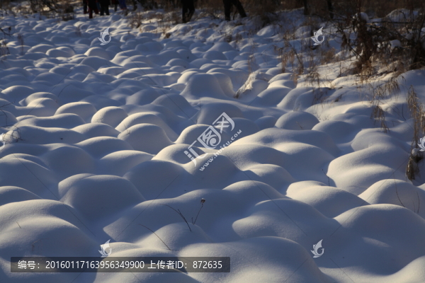 雪地,雪饅頭