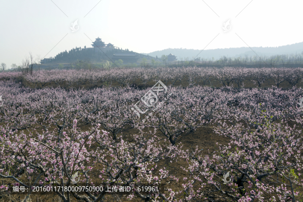 田園風(fēng)光