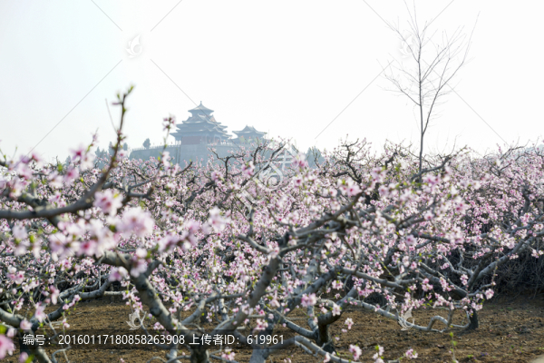 田園風(fēng)光