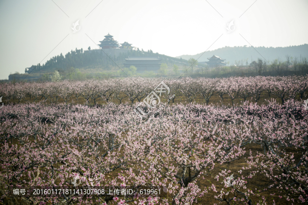 田園風光
