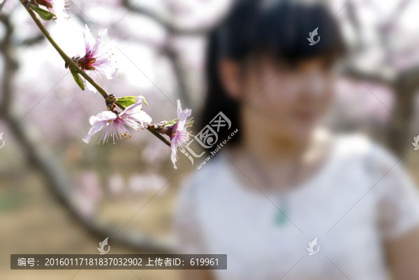 一枝花