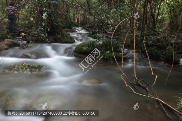 小七孔,水上森林