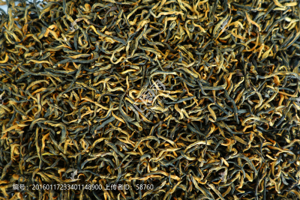 金駿眉茶葉