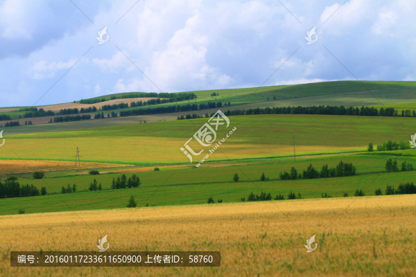 農(nóng)田風(fēng)景
