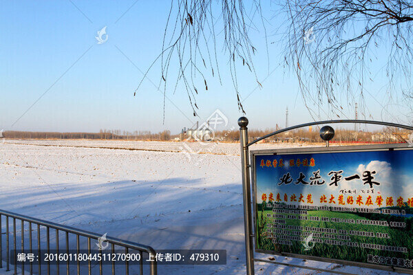 冬天,雪,原野,田野,冷色,冰