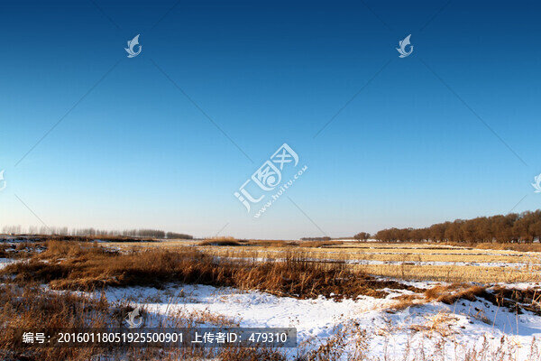 冬天,雪,原野,田野,冷色,冰