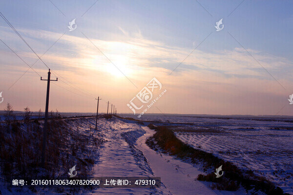 冬天,雪,原野,田野,冷色,冰