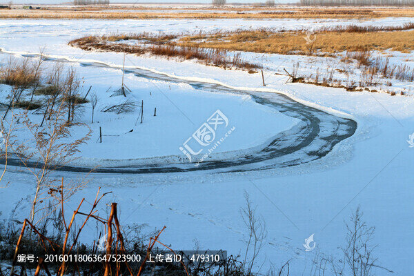 冬天,雪,原野,田野,冷色,冰