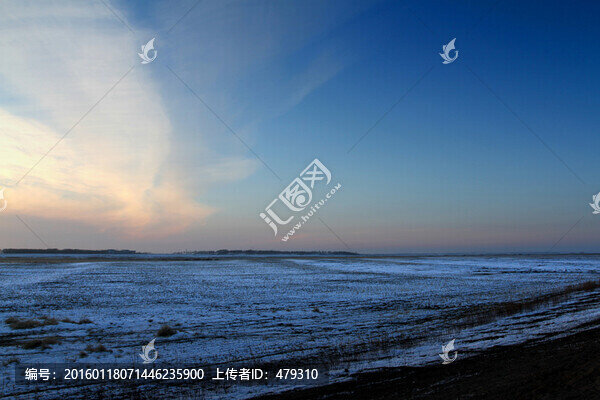 冬天,雪,原野,田野,冷色,冰
