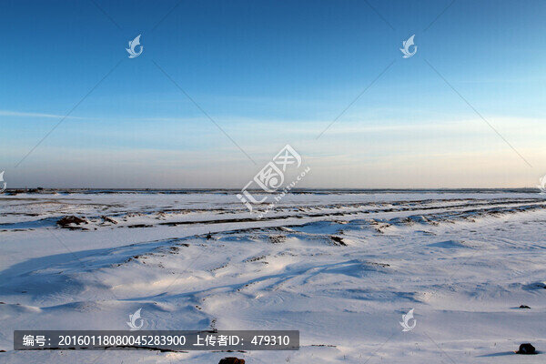 冬天,雪,原野,田野,冷色,冰