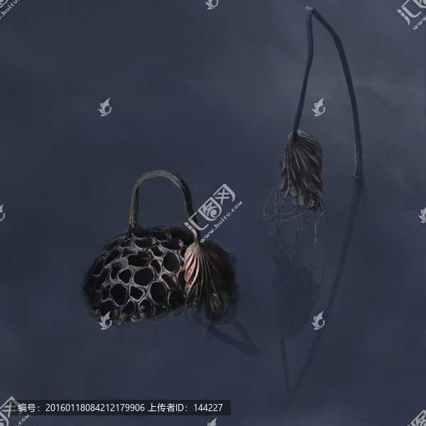 蓮蓬,荷塘
