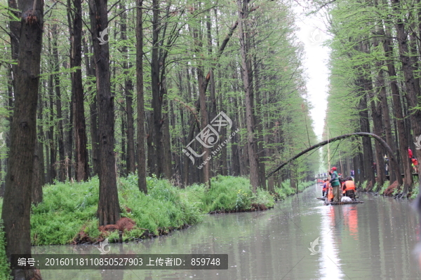 興化李中水上森林公園