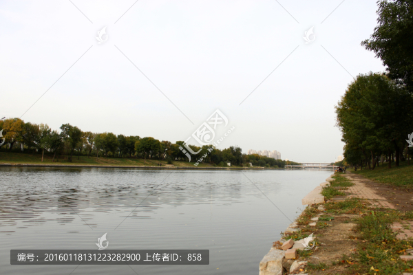 河水河岸