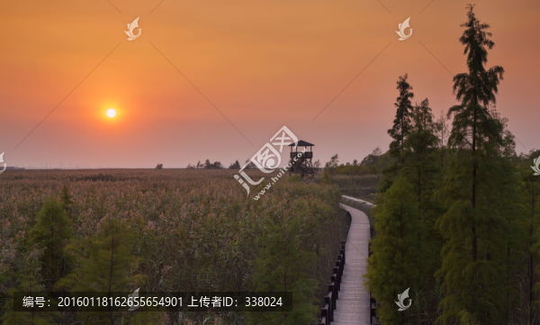 夕陽