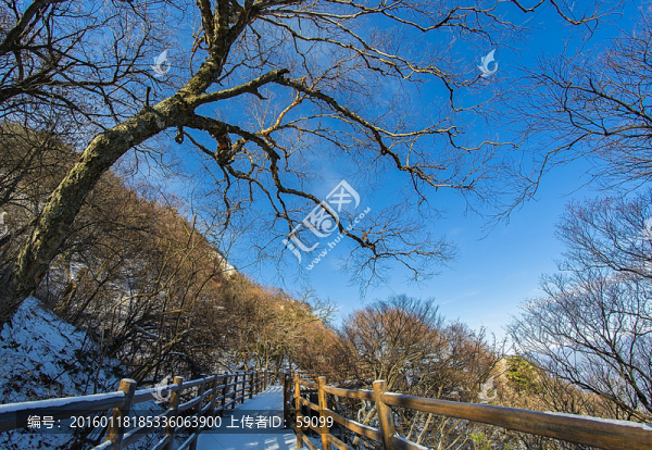 君山風(fēng)光