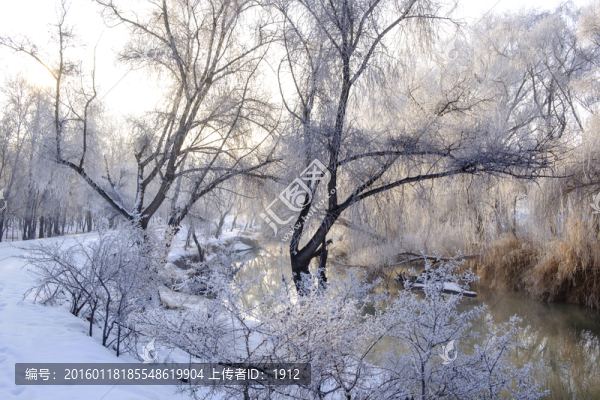 雪景