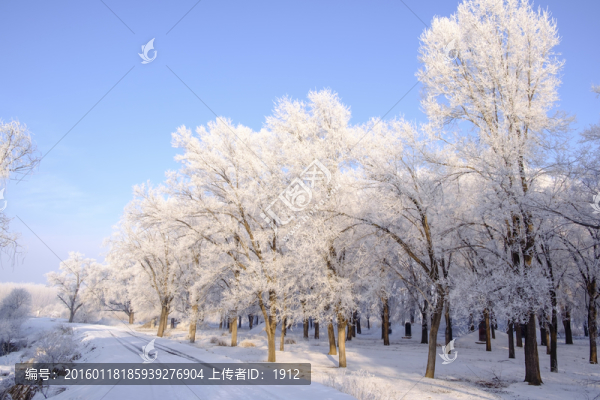 雪景