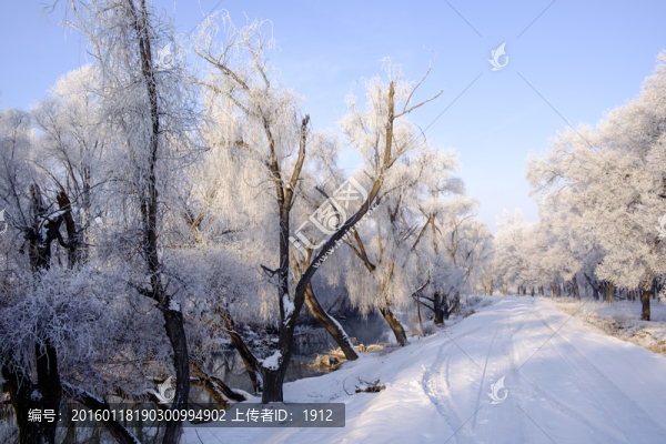 雪中小路