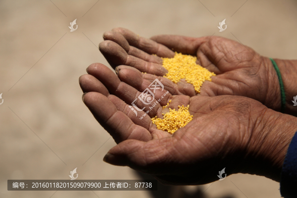 小米