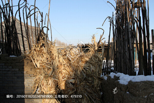 玉米桿,葵花桿,燒柴,農(nóng)村