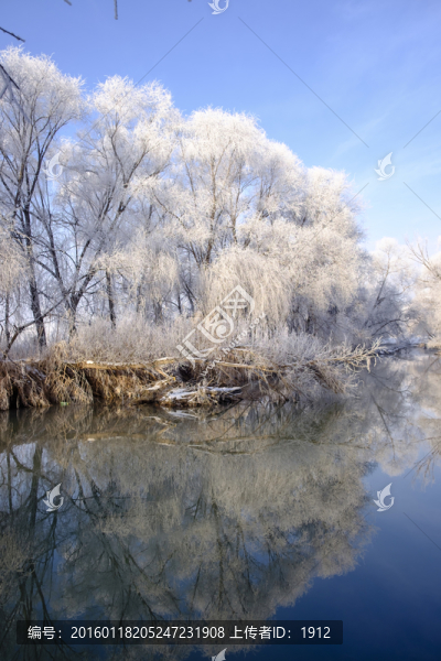 雪景